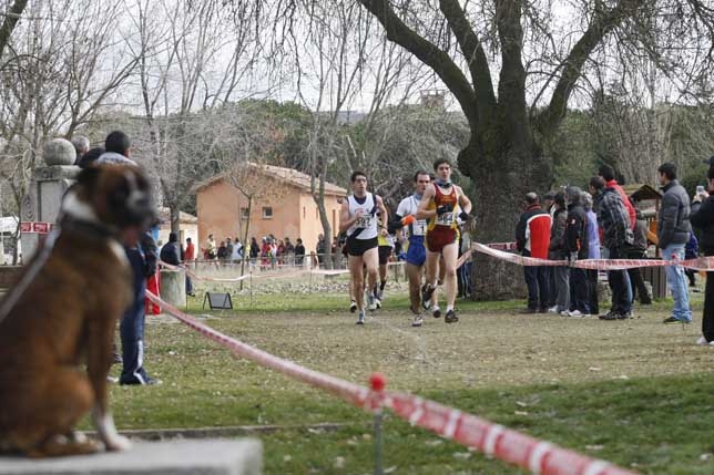 V Cross Ciudad de Ávila.  / ANTONIO BARTOLOMÉ