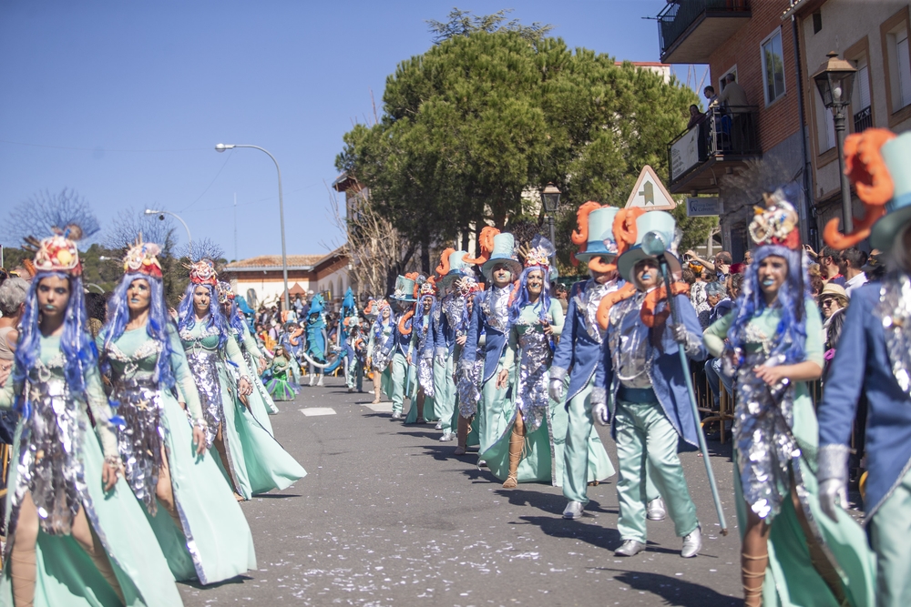 Carnaval de Cebreros.  / BELÉN GONZÁLEZ