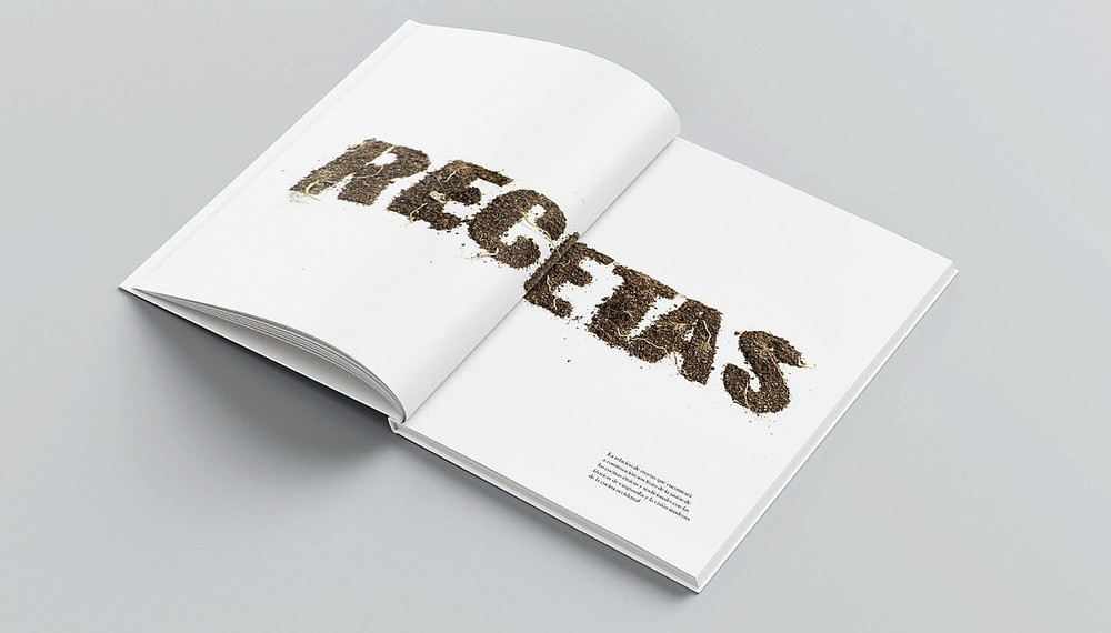 Diario de recetas, libro de recetas en blanco diario de recetas