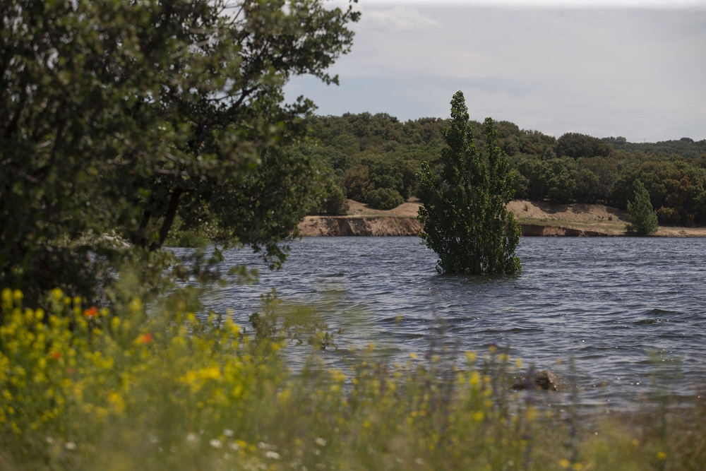 Embalse de las Cogotas.  / ISABEL GARCÍA