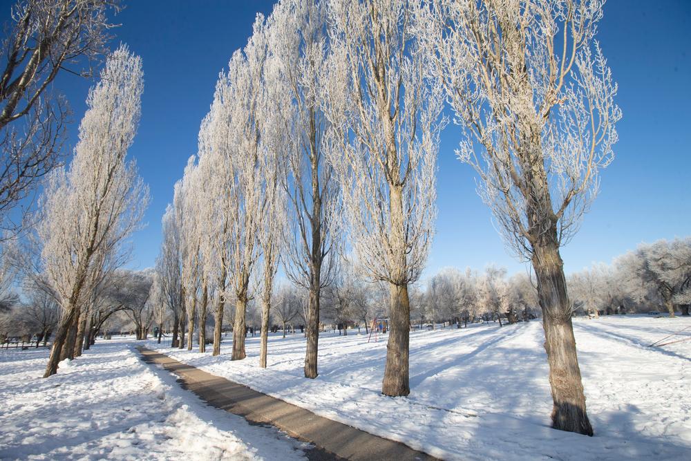 Centellada, nieve, helada.  / ISABEL GARCÍA