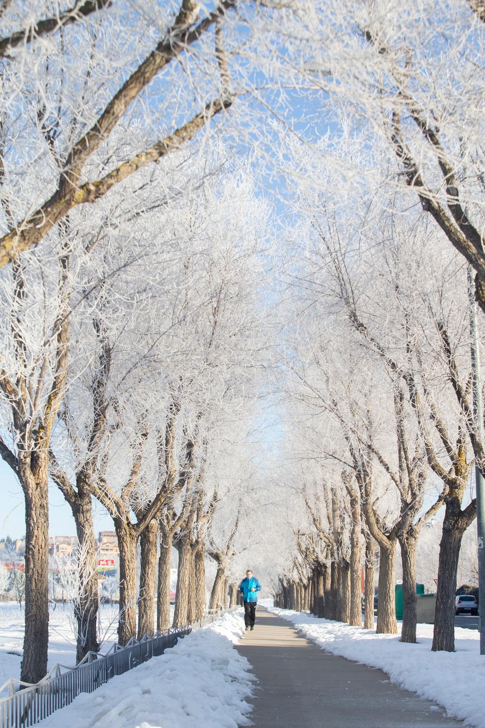 Centellada, nieve, helada.  / ISABEL GARCÍA