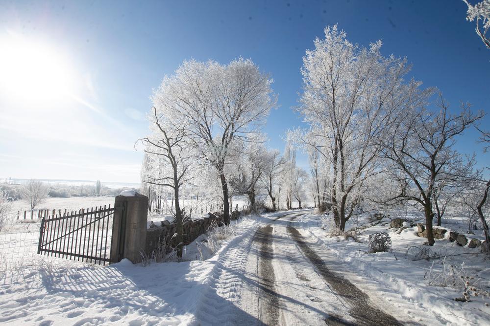 Centellada, nieve, helada.  / ISABEL GARCÍA