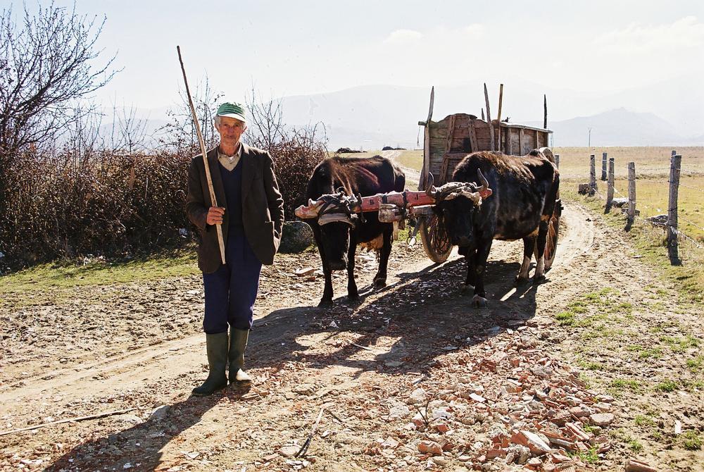 Despedidas con eco tradicional en la época covid