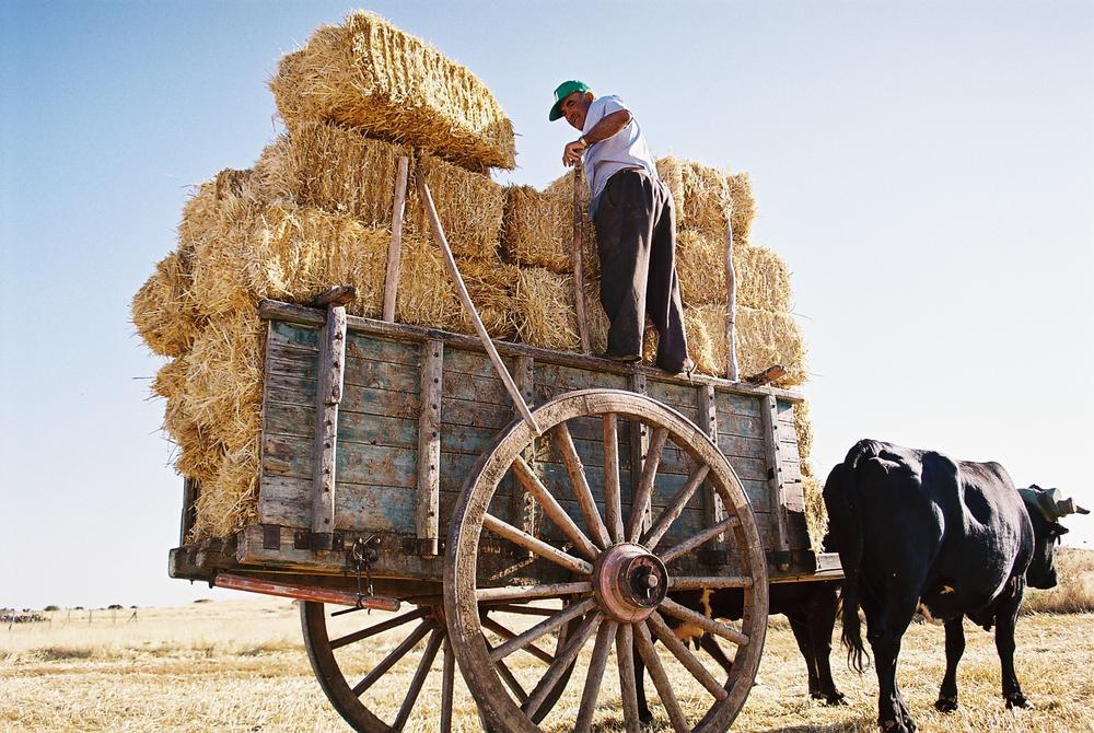 Despedidas con eco tradicional en la época covid