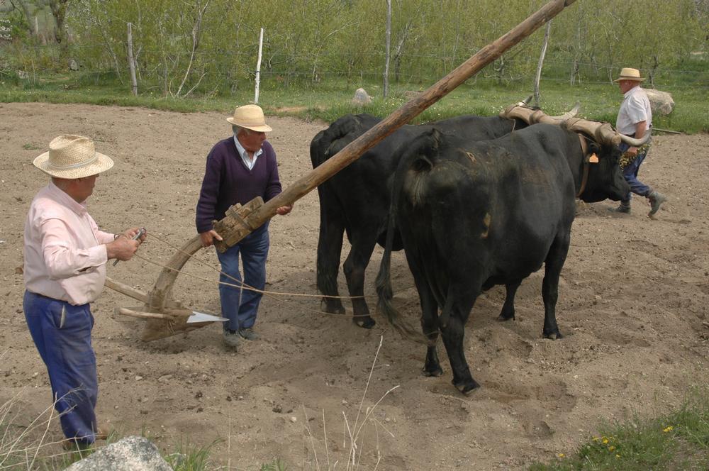 Despedidas con eco tradicional en la época covid