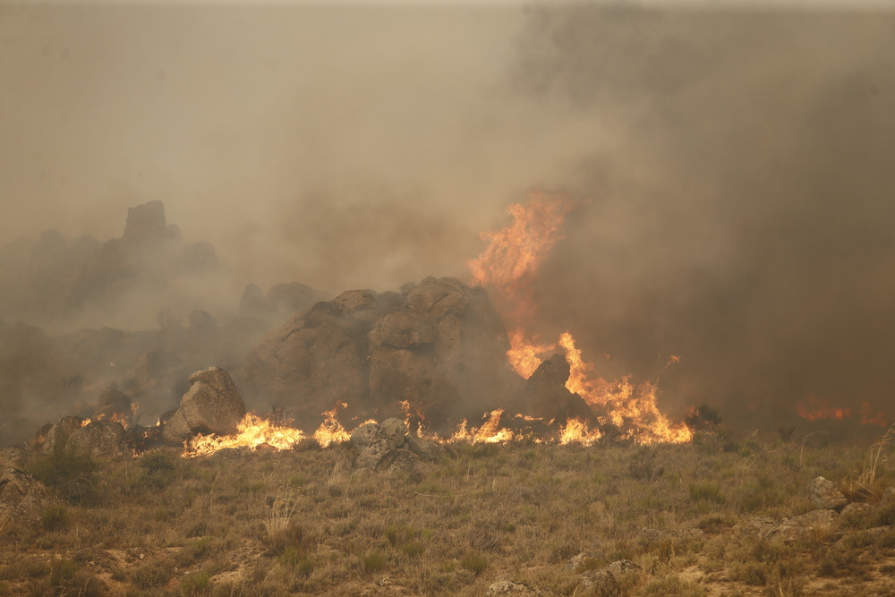 El incendio de la Sierra de la Paramera afecta a varios municipios.  / DAVID CASTRO