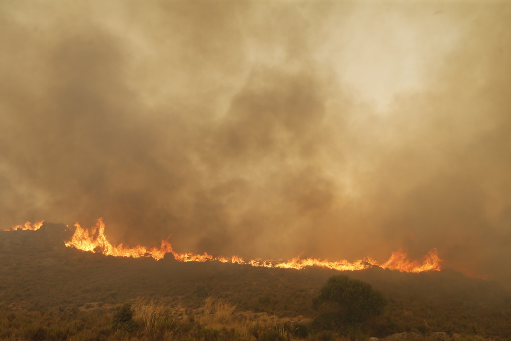 El incendio de la Sierra de la Paramera afecta a varios municipios.  / DAVID CASTRO