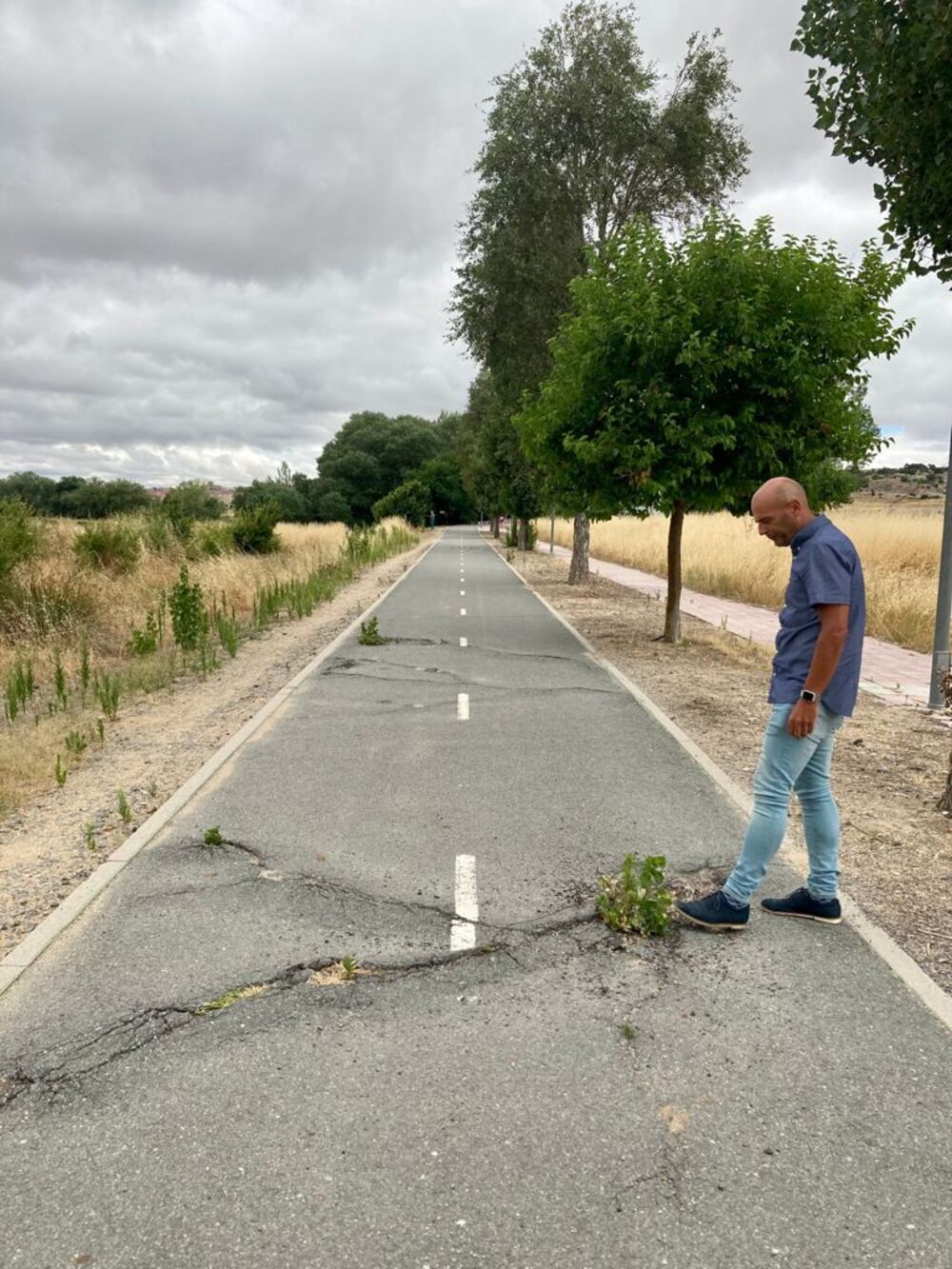 El PSOE De Ávila Recrimina El Estado De Los Carriles Bici «llenos De ...