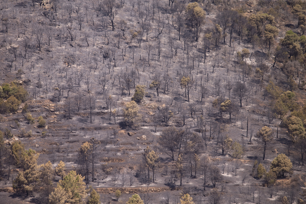 Continúan los trabajos en el incendio de Cebreros y Hoyo de Pinares.  / DAVID CASTRO