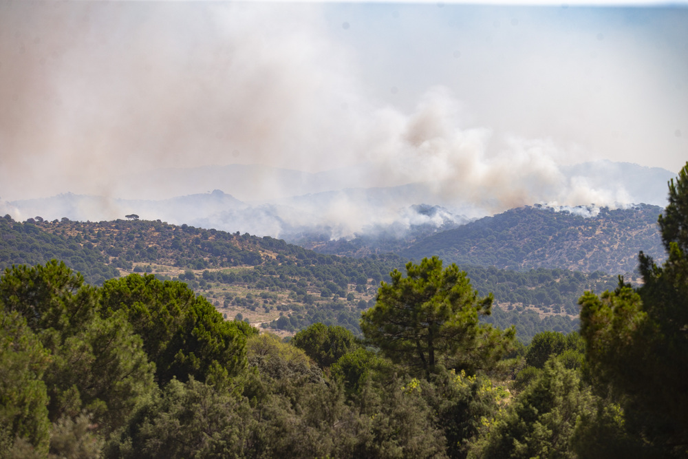 Continúan los trabajos en el incendio de Cebreros y Hoyo de Pinares.  / DAVID CASTRO