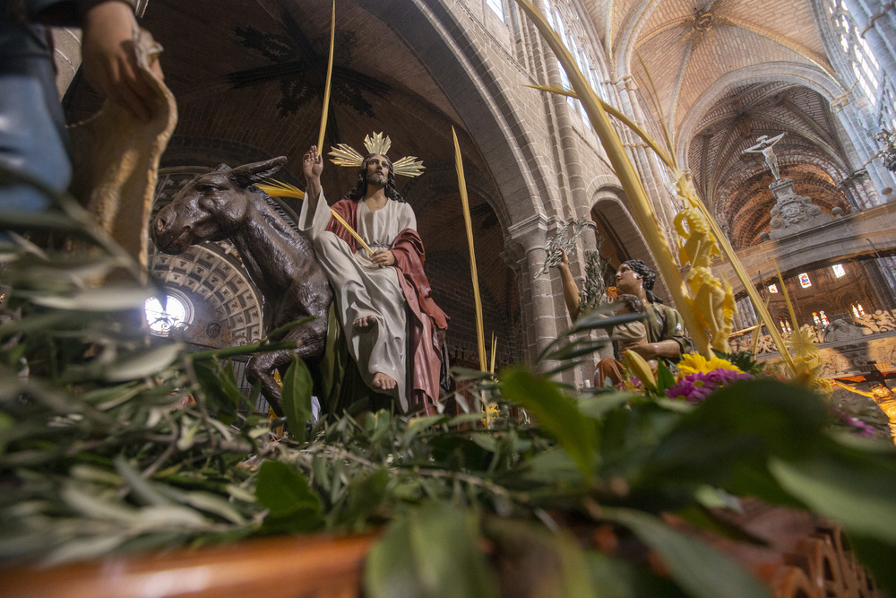 Domingo de Ramos, Procesión de las Palmas, Procesión de la Borriquilla, Semana Santa.  / ISABEL GARCÍA