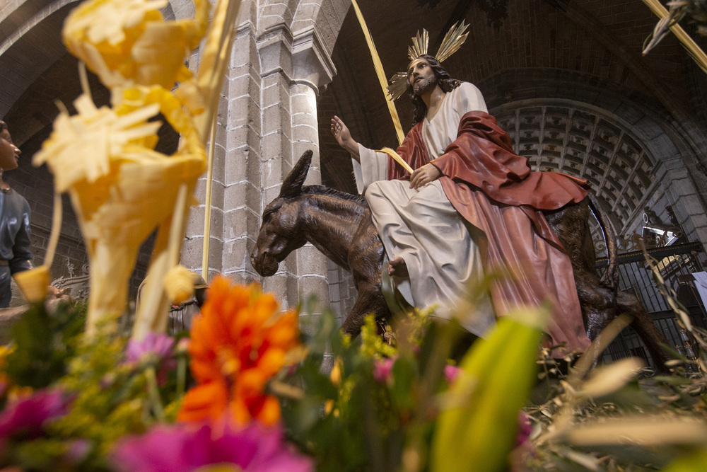 Domingo de Ramos, Procesión de las Palmas, Procesión de la Borriquilla, Semana Santa.  / ISABEL GARCÍA