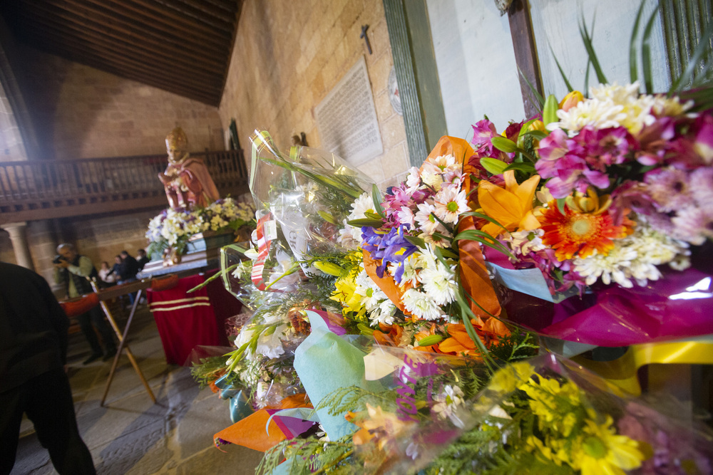 Flores para San Segundo en la previa de su día grande