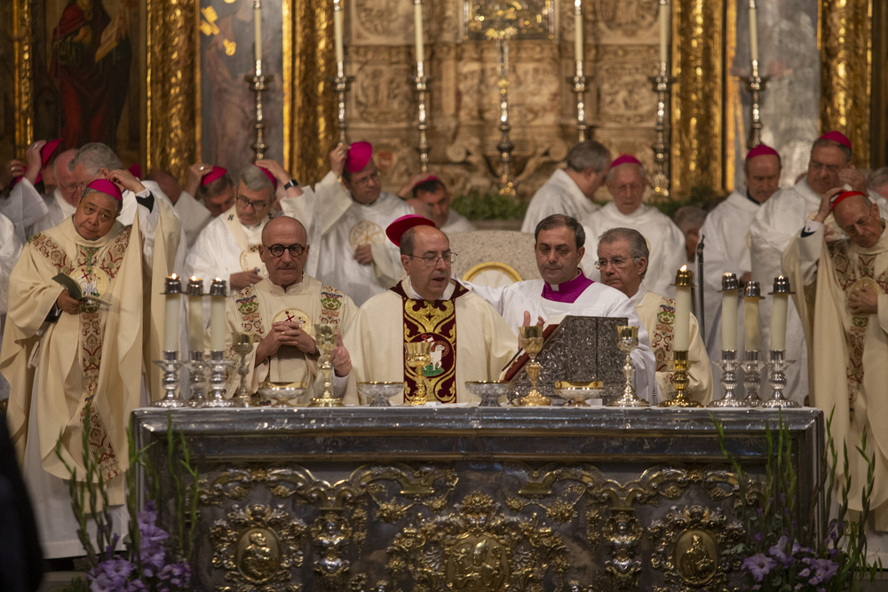 Ordenación espiscopal de Jesús Rico, nuevo obispo de Ávila.  / DAVID CASTRO