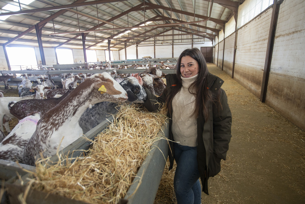 Cebreros, tierra tranquila y con servicios para asentarse
 