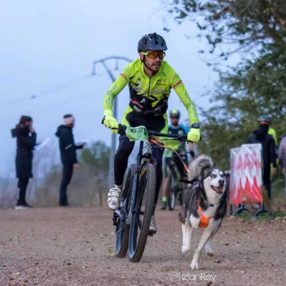 Un compañero canino de vida y deporte