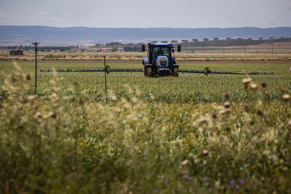 El campo de Castellón podrá usar 10 años más el herbicida glifosato - El  Periódico Mediterráneo