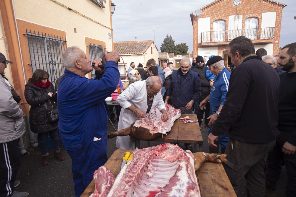 Del cerdo, hasta los andares...