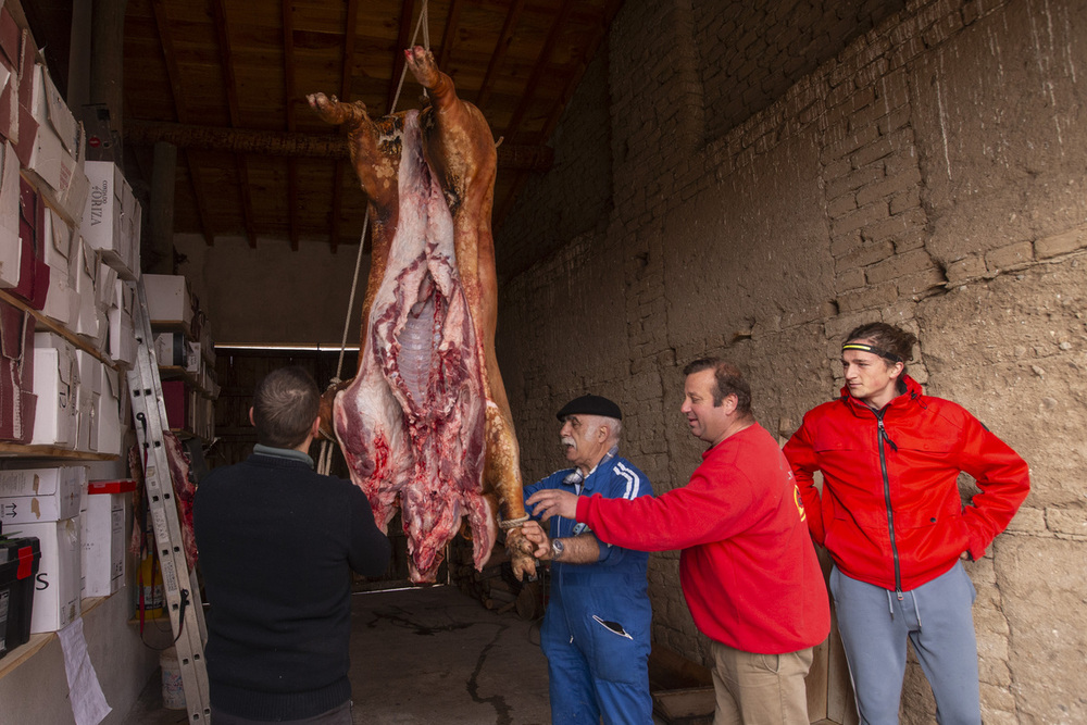 Del cerdo, hasta los andares...