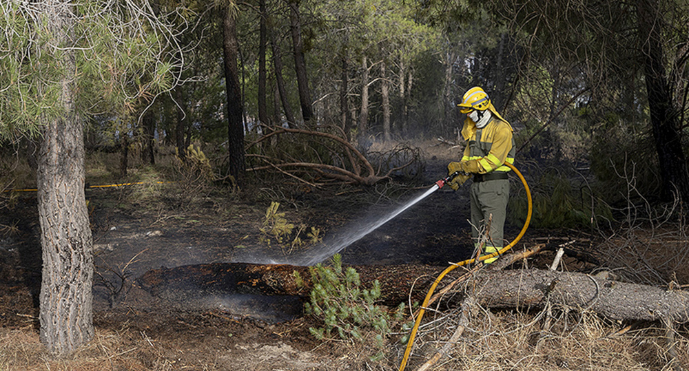 El fuego de Cabizuela, que llegó al nivel 2, arrasa 100 ha.