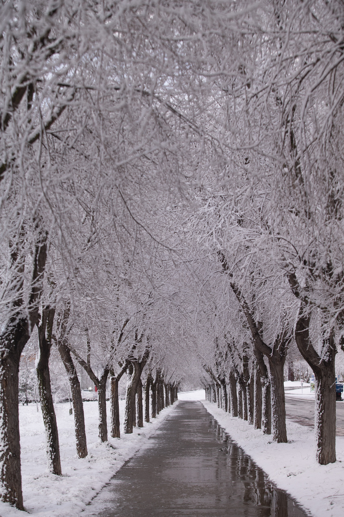 Nieve en la capital.  / DAVID CASTRO ISABEL GARCÍA