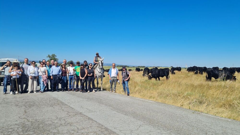 El papel de la trashumancia en la gestión del territorio