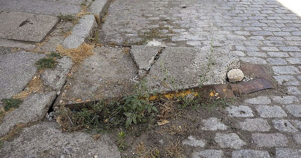 El otro jardín (olvidado) del entorno de El Pradillo