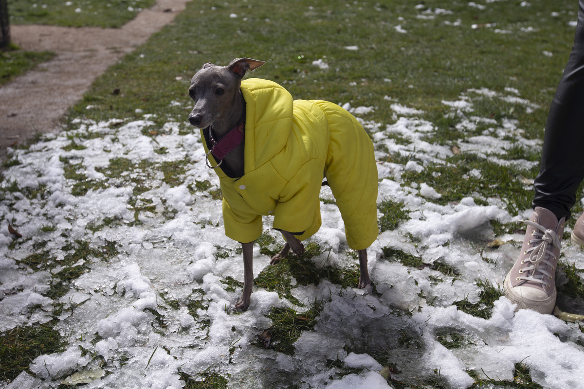 Nieve en la capital.  / ISABEL GARCÍA