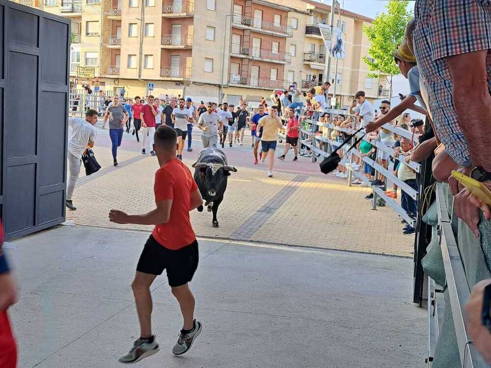 Un pregón vibrante y entre multitudes 