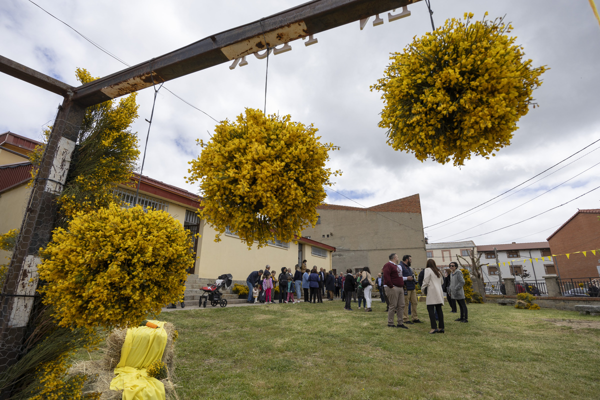 Inauguración del Festival del Piorno en Flor en Navalosa.