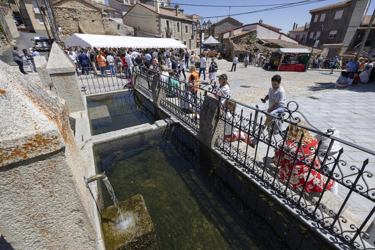 La Colilla acoge X Día del Valle Amblés.  / DAVID CASTRO