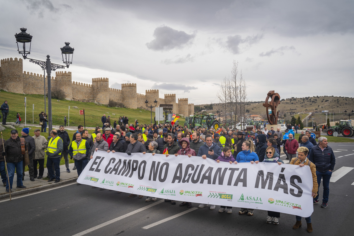 Tractorada por las calles de la capital.  / DAVID GONZÁLEZ