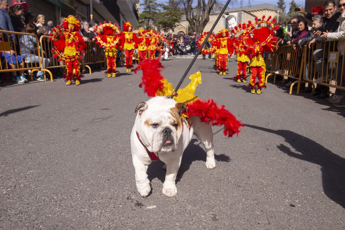 Carnaval Provincial de Cebreros, Domingo de Piñata.  / ISABEL GARCÍA