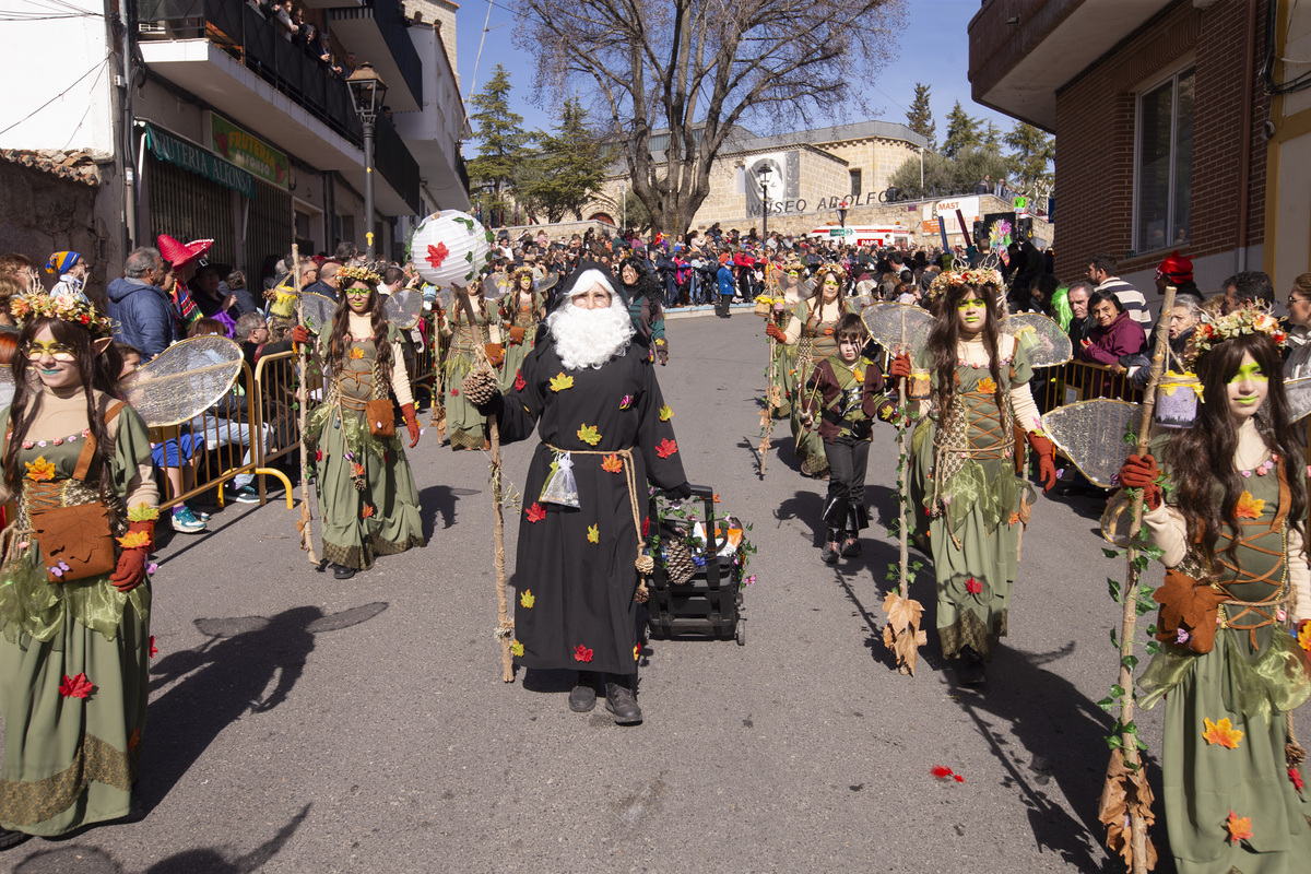 Carnaval Provincial de Cebreros, Domingo de Piñata.  / ISABEL GARCÍA