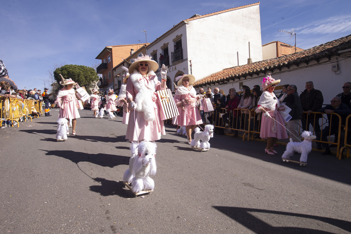 Carnaval Provincial de Cebreros, Domingo de Piñata.  / ISABEL GARCÍA