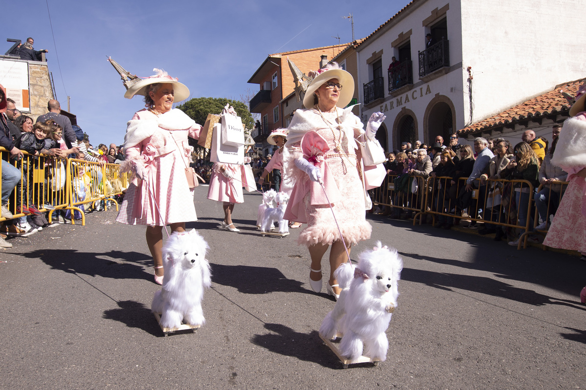 Carnaval Provincial de Cebreros, Domingo de Piñata.  / ISABEL GARCÍA