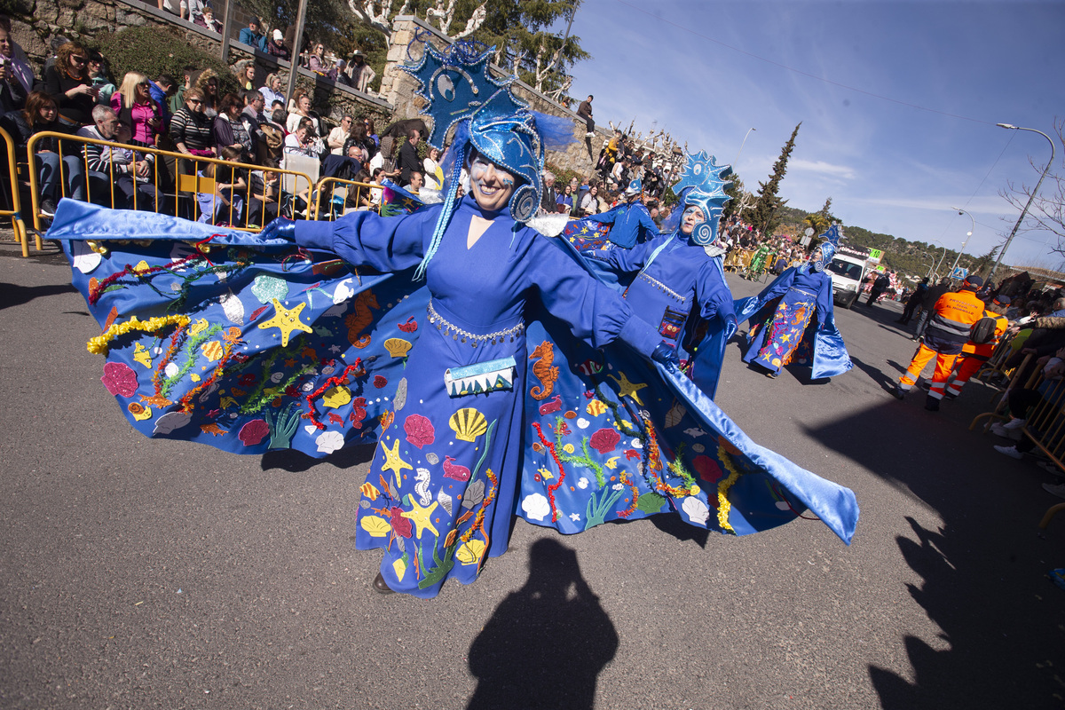 Carnaval Provincial de Cebreros, Domingo de Piñata.  / ISABEL GARCÍA