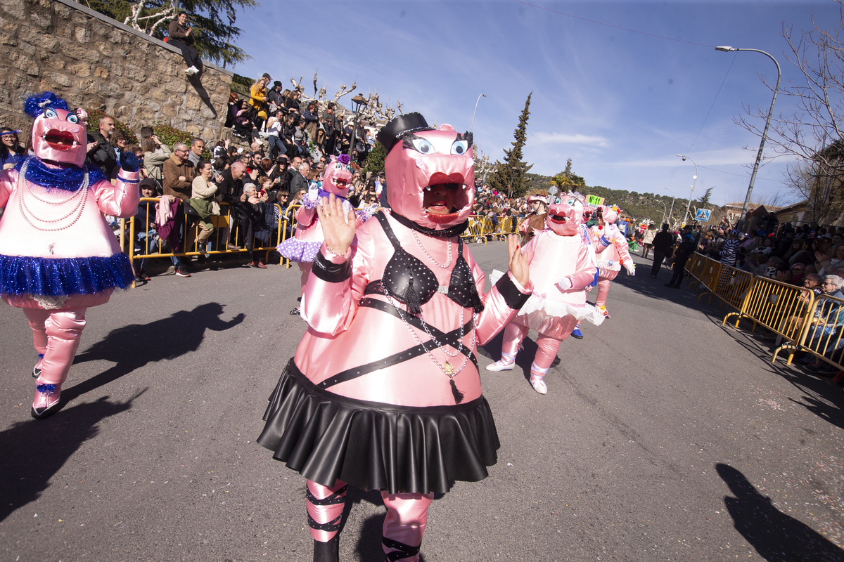 Carnaval Provincial de Cebreros, Domingo de Piñata.  / ISABEL GARCÍA