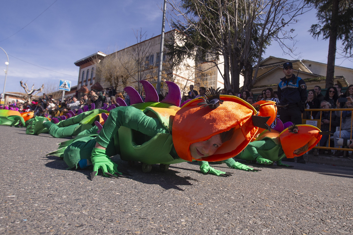 Carnaval Provincial de Cebreros, Domingo de Piñata.  / ISABEL GARCÍA