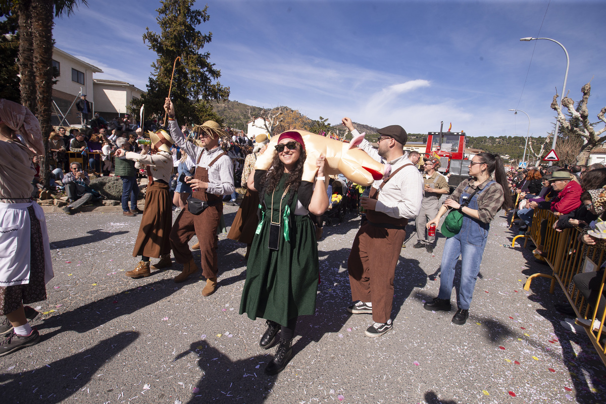 Carnaval Provincial de Cebreros, Domingo de Piñata.  / ISABEL GARCÍA