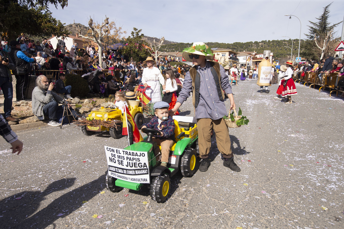 Carnaval Provincial de Cebreros, Domingo de Piñata.  / ISABEL GARCÍA