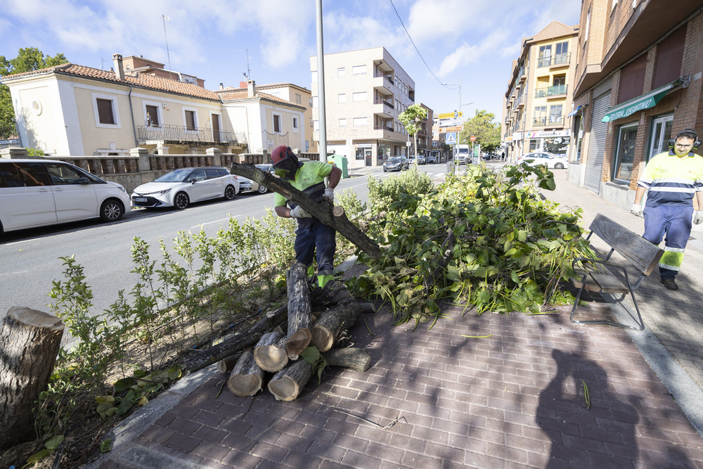 Cerrado el acceso a la Muralla y a los parques por el viento