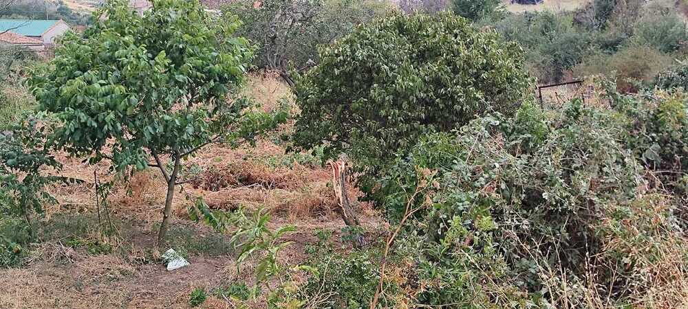 Destrozos del tornado a su paso por Riofrío