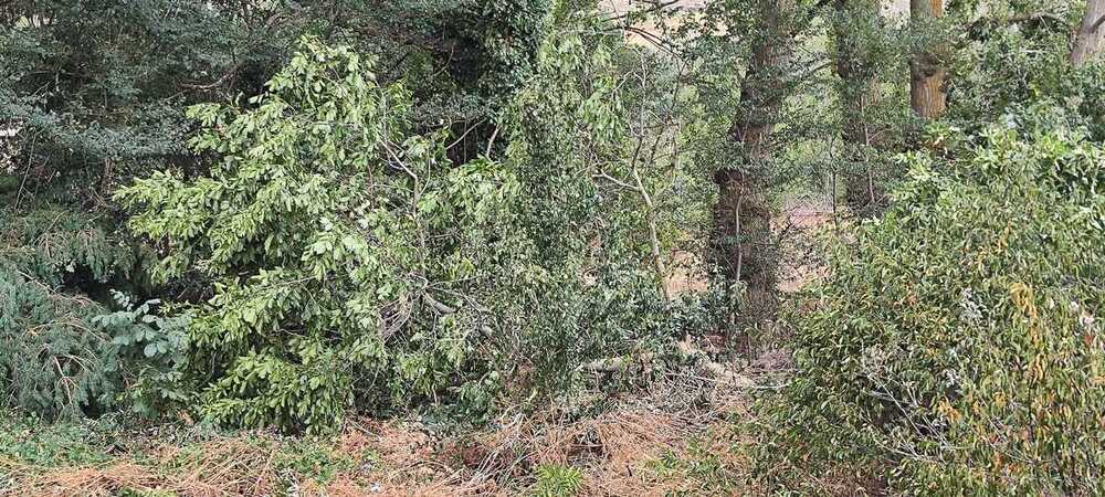 Un tornado atraviesa por Riofrío