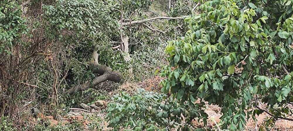 Un tornado atraviesa por Riofrío