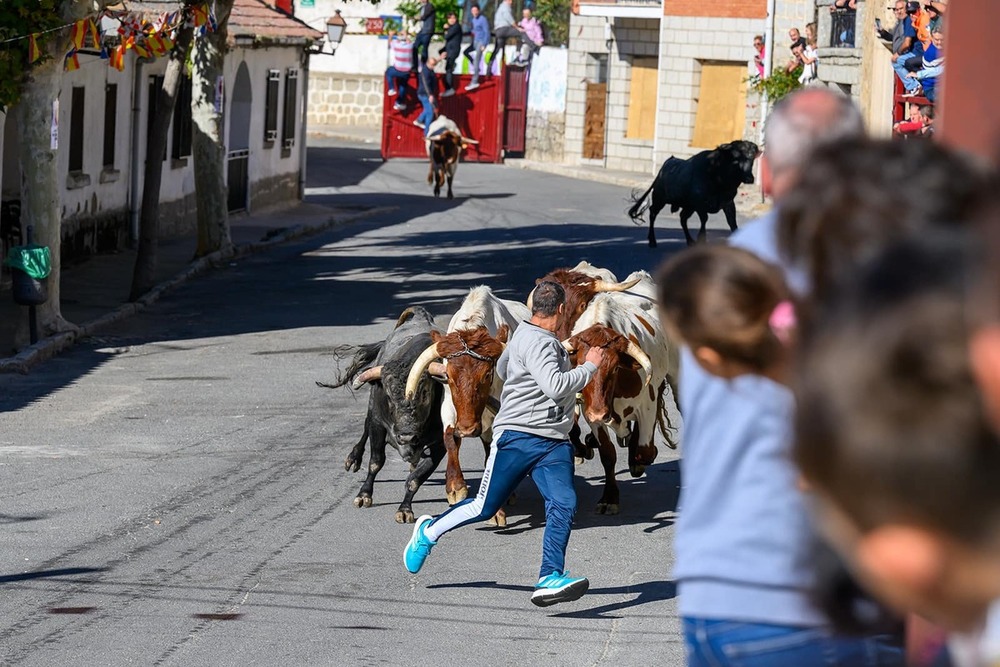 Música, toros y teatro en las fiestas de El Hoyo de Pinares