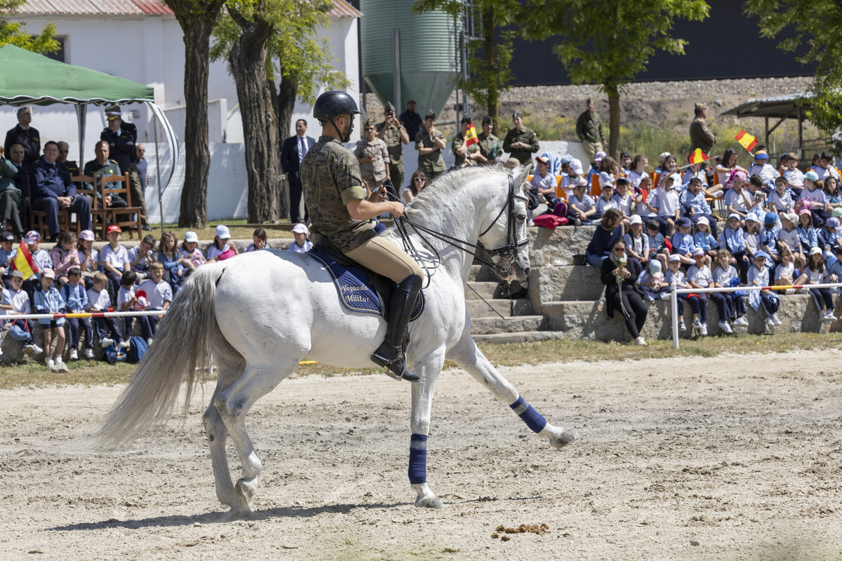 Jornada de puertas abiertas del Centro Militar de Cría Caballar.  / DAVID CASTRO