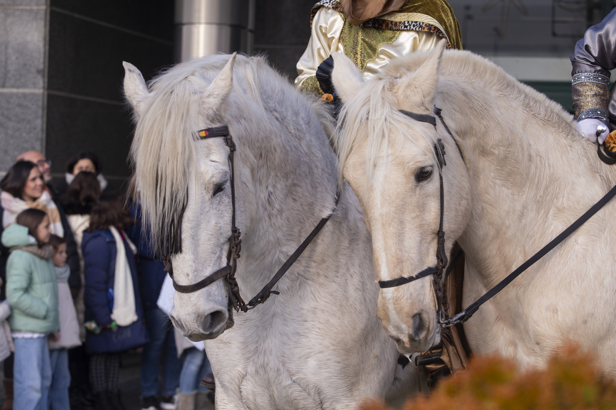 Llegada de los Reyes Magos a caballo, organizado por asociación de las Hervencias.  / ISABEL GARCÍA