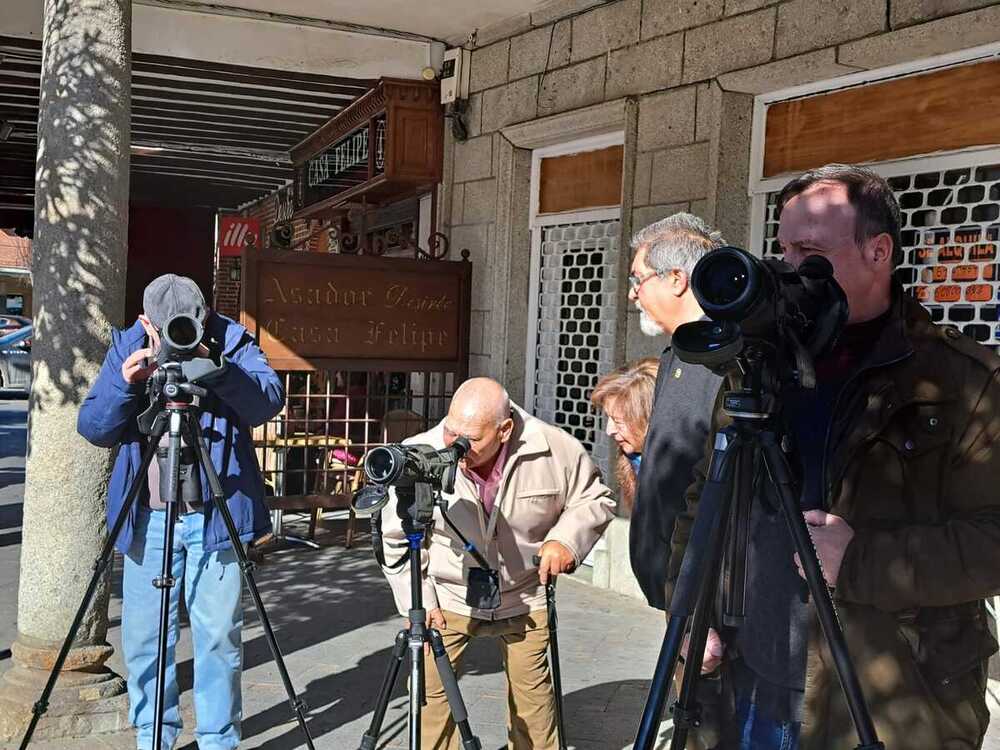 Arévalo pone el foco en sus cigüeñas